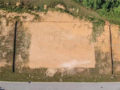 8035 Twin Eagles Loop, Reunion, FL 34747 - photo 5