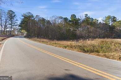 469 Lee Williams Rd, Carrollton, GA 30117 - photo 6