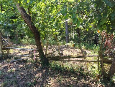 439 State Highway Oo, Reeds Spring, MO 65737 - photo 6