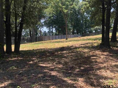 2820 Robertson Rd, Tyler, TX 75701 - photo 5