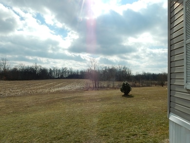 Back Field