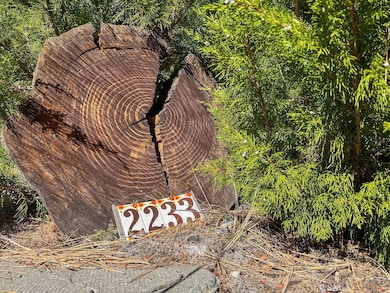 2233 Bernina Dr, Pine Mountain Club, CA 93225 - photo 3