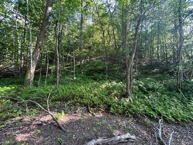 3970 Tennessee 68, Turtletown, TN 37391 - photo 5