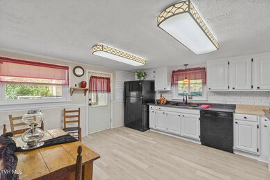 1005 Old Snapps Ferry Rd, Chuckey, TN 37641 - photo 5