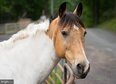 812 Eastover Pkwy, Locust Grove, VA 22508 - photo 2