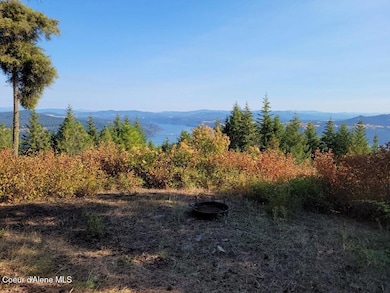 NKA 10 Acres, Plummer, ID 83851 - photo 2