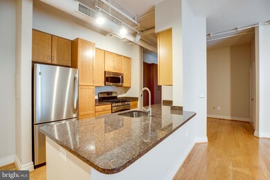 Elan East Market Condominiums unit 301, Fairfax, VA 22033 - photo 5
