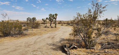 60220 Drexel Rd, Joshua Tree, CA 92252 - photo 7