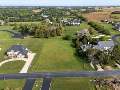 7030 W Gabreski Ln, Monee, IL 60449 - photo 5