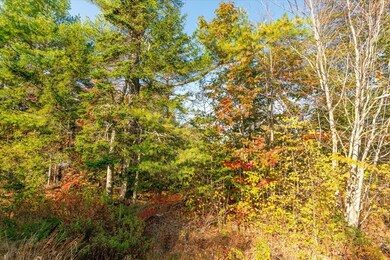 Lot 1 Cushing Rd, Friendship, ME 04547 - photo 6