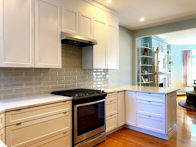 51 Gorham Ave unit 2, Brookline, MA 02445 - photo 7