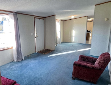 5239 S 800 W, Delphi, IN 46923 - photo 4