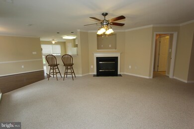 2511 Shelley Cir unit 1A, Frederick, MD 21702 - photo 4