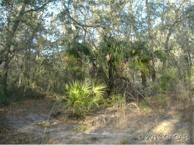 247 Indian Lakes Forest Rd, Florahome, FL 32140 - photo 6