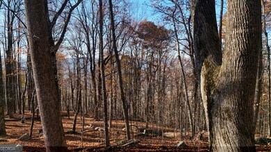 LOT 11 Mountainside Dr, Cleveland, GA 30528 - photo 4