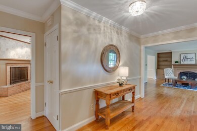 1004 Vassar Rd, Alexandria, VA 22314 - photo 3