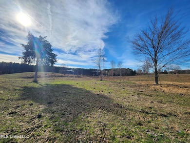 0 Steward Rd unit 4133694, Senatobia, MS 38668 - photo 7