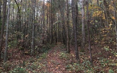 LT 6 Pleasant Oak Trail, Ellijay, GA 30540 - photo 4