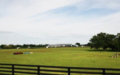 LOT30 Mandiba Dr, Lake City, FL 32024 - photo 4