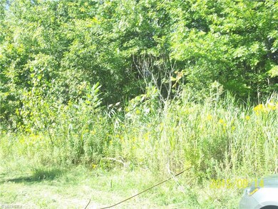 2216 N County Line Rd, Geneva, OH 44041 - photo 2