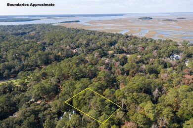 7.Marsh Aerial