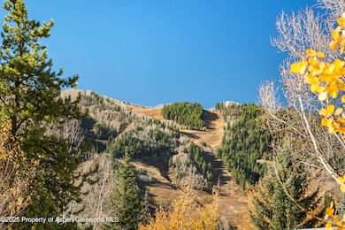 522 Spruce St, Aspen, CO 81611 - photo 3