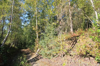 5939 E 38th Ct, Anchorage, AK 99504 - photo 7