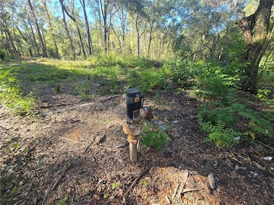 4322 N Carl G Rose Hwy, Hernando, FL 34442 - photo 5