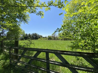IMG_0654