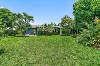 Back yard