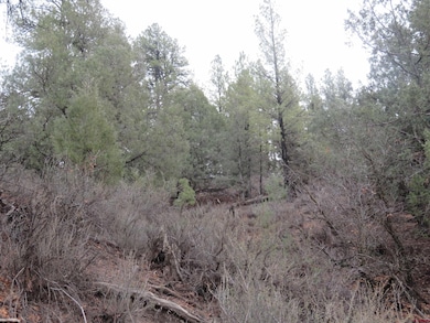 719 E Stollsteimer Rd, Pagosa Springs, CO 81147 - photo 4