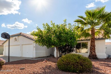 05 - Palo Verde