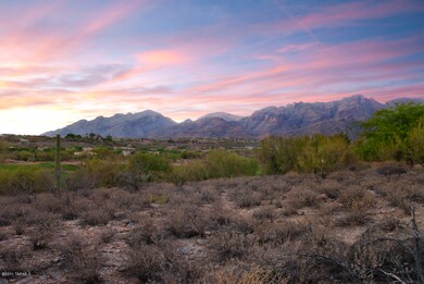 Early Evening Mountain Views