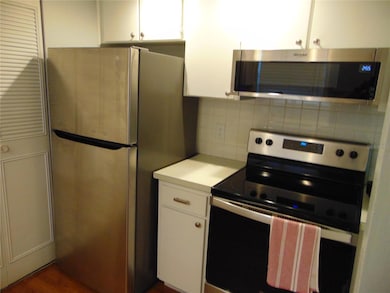 Green Dolphin Park unit 307, Tarpon Springs, FL 34689 - photo 3