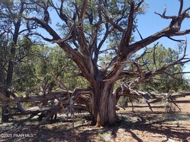 133 Off Arizona Rd, Ash Fork, AZ 86320 - photo 2