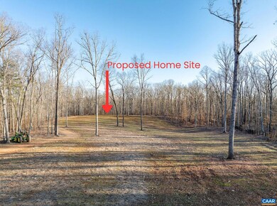 Lot 12 Grey Heron Rd unit 12, Keswick, VA 22947 - photo 5