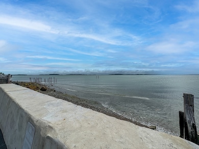 16 Pebble Ave, Winthrop, MA 02152 - photo 2