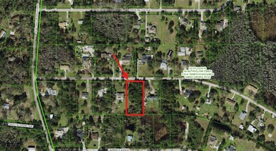 26300 Pheasant Run, Wesley Chapel, FL 33544 - photo 6