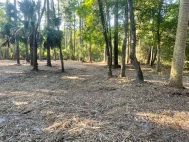 5 Oak St, Crawfordville, FL 32327 - photo 7