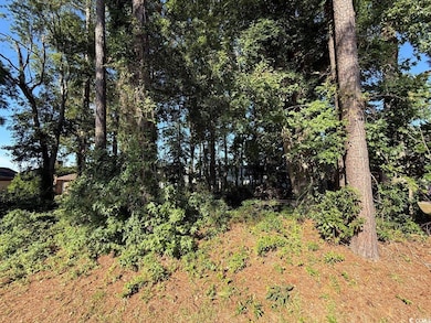 Lot 546 Circle Dr, Myrtle Beach, SC 29575 - photo 6