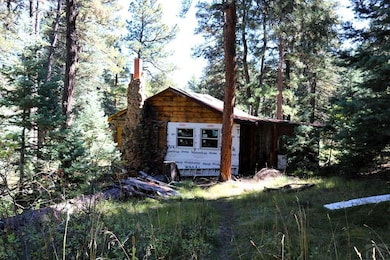 TBD Mariposa Ave, Rye, CO 81069 - photo 6