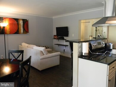 2259 Castle Rock Square unit 2B, Reston, VA 20191 - photo 6