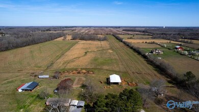 42.8 Acres Ready Section Rd, Toney, AL 35773 - photo 7