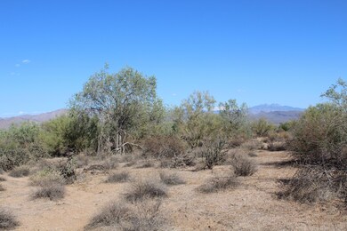 Build Your Dream Home Here!