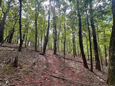 1030 Treetop Ridge Rd, Blacksburg, VA 24060 - photo 3