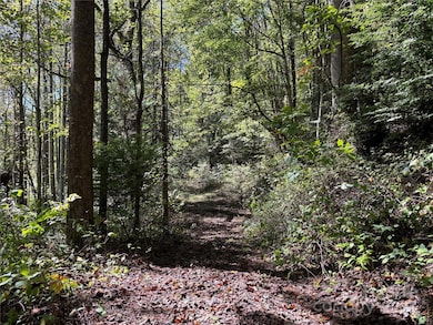 TBD Happy Ridge Ln, Sylva, NC 28779 - photo 5