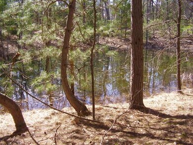 View # 3 Alternate View Wild Life Pond