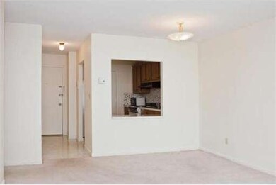 29 Custer St unit 206, Jamaica Plain, MA 02130 - photo 3