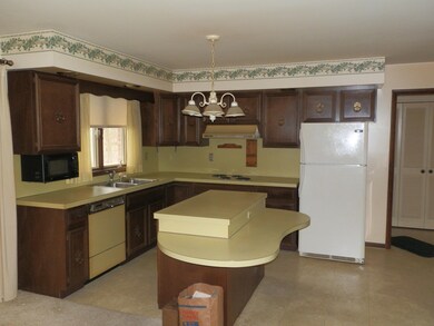 827 E Grant St, Hastings, MI 49058 - photo 4