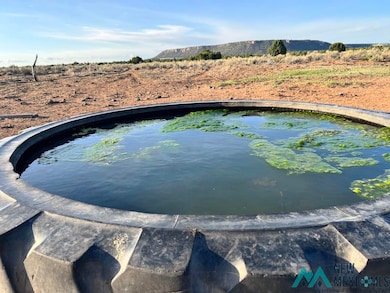 000 Ice Caves Rd, Grants, NM 87020 - photo 3